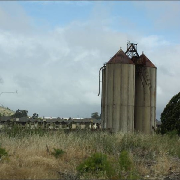 Standard Portland Cement Corporation established itself in the late 1800s, including the iconic kilns and silos, which still stand in ruin. 
