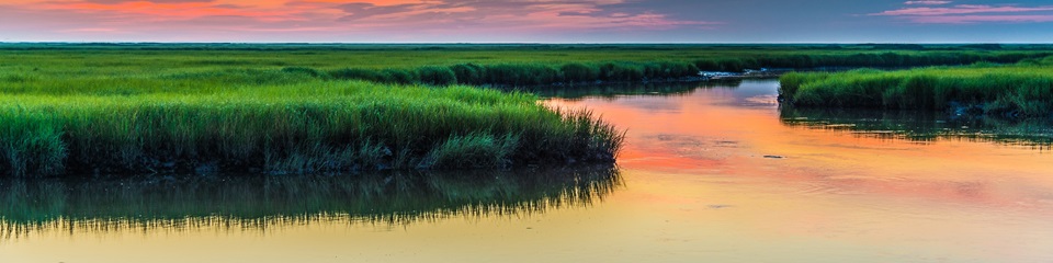 Bombay Hook National Wildlife Refuge - Header Image