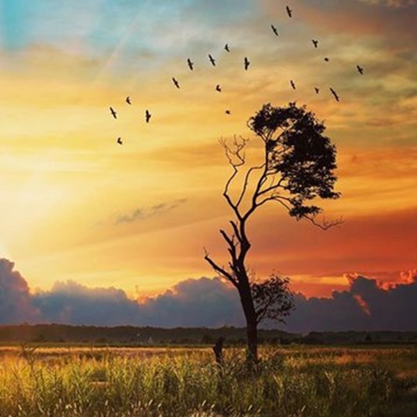 Bombay Hook National Wildlife Refuge - Webpage Image