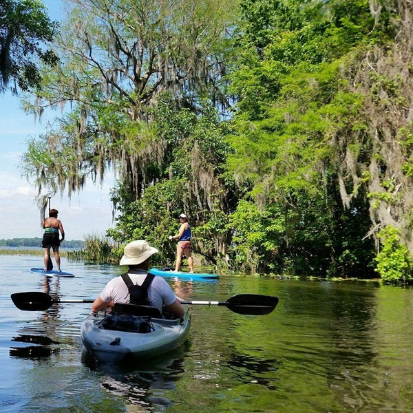 Kayak or paddleboard along the serene waters of Lake Dora, where paddlers might spot playful otters in the water or eagles overhead. 