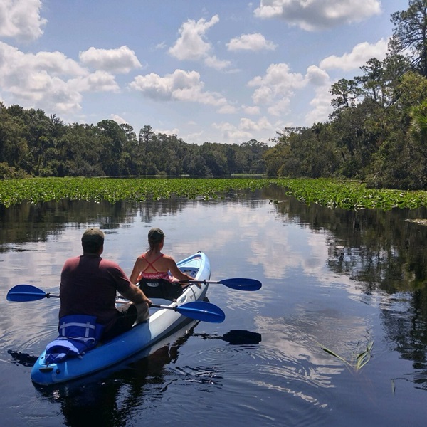 The Dora Canal is a favorite spot to see wildlife including alligators, wading birds, otters, turtles, snakes, and more. 