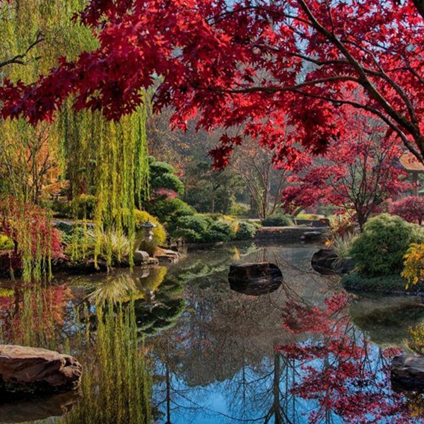 Stroll along koi-filled ponds, admire meticulously pruned bonsai trees, and find inner peace amidst the meticulously crafted landscape of the Japanese Garden. 