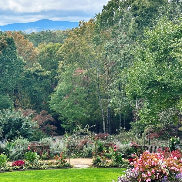 Step into a fragrant paradise at the Rose Garden, home to over 2,000 rose bushes boasting vibrant colors and intoxicating scents. 
