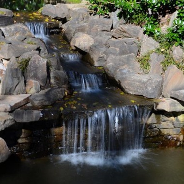 Cascading waterfalls add a rare touch to the landscape throughout the gardens, from the dramatic drop of the Iris Falls to the gentle cascade of the Fern Dell Falls. 