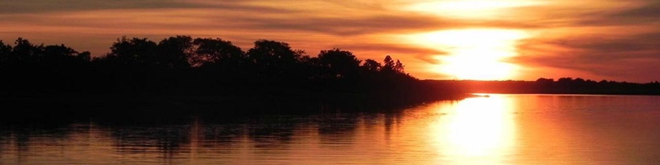 Cape Water Tours and Taxi    - Header Image