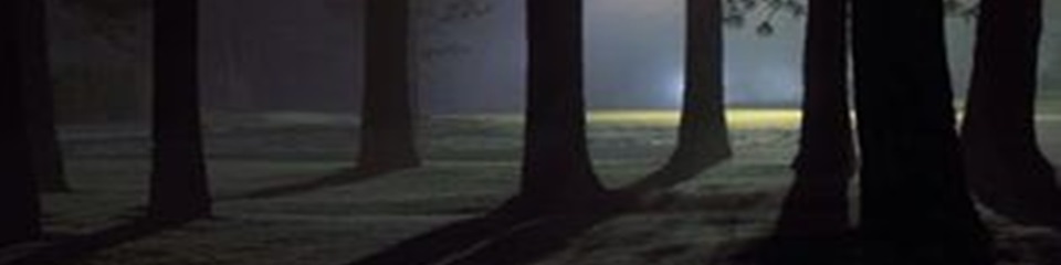 Crazy Annie’s Bridge  - Header Image