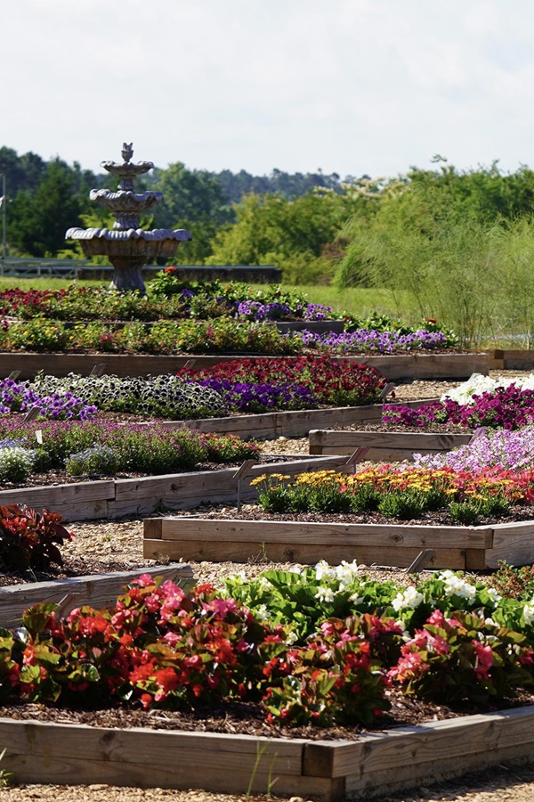 Mississippi State Trial Gardens - Display Image