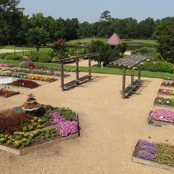 Suggested image for Mississippi State Trial Gardens