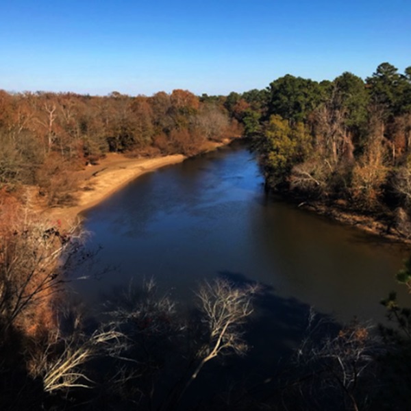 This 170-acre park offers a peaceful escape amidst nature. Visitors can enjoy hiking and biking trails, kayaking, and paddleboarding on the Neuse River. 