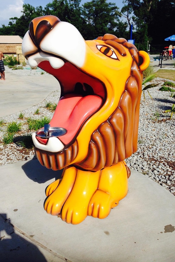 Lions Water Adventure      - Display Image