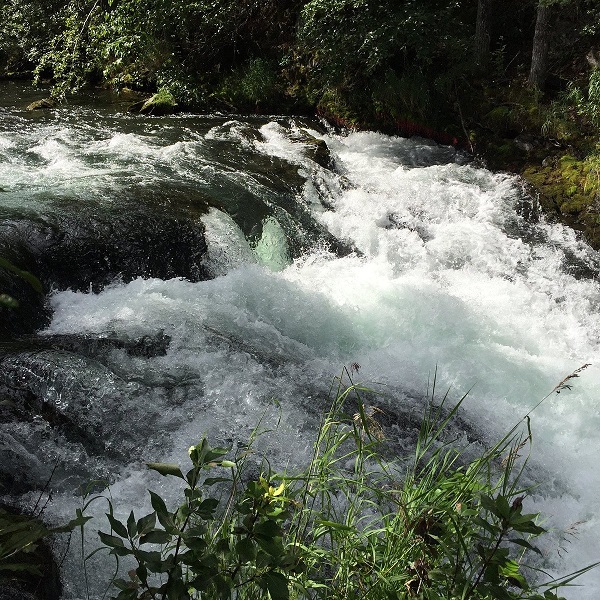 Russian River Falls  - Webpage Image