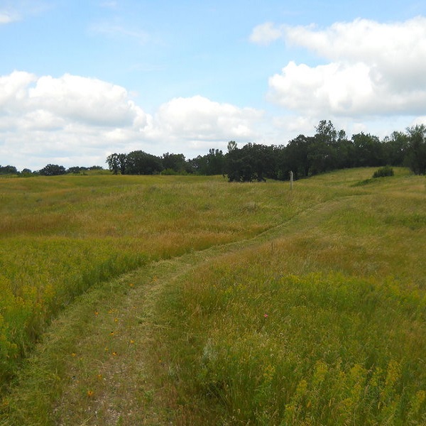 North Country Trail meanders through the Sheyenne Valley across rolling hills, forest, and prairie. 
