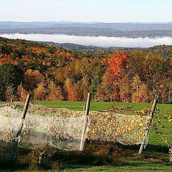 Visitors can hike to the top of Mount Monadnock for breathtaking views, kayak on the scenic Connecticut River, or explore the town's network of trails. 