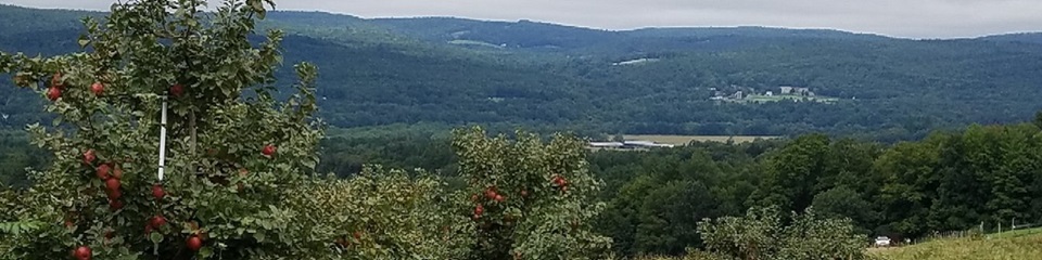 Town of Walpole - Header Image