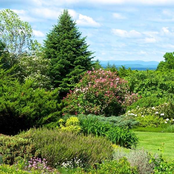 There are hidden treasures nestled in the foliage, such as vibrant wildflowers tucked away in a sunny clearing. 