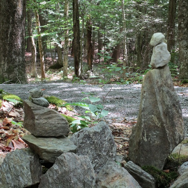 Distant Hill Gardens - Webpage Image