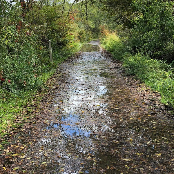 The trail's relatively flat terrain and well-maintained surface provide a comfortable and enjoyable cycling experience.