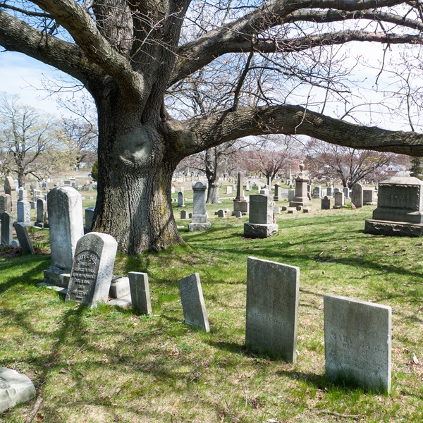 The East and North Burial Grounds date back to 1690. Sarah Swan was buried following her death in 1763.