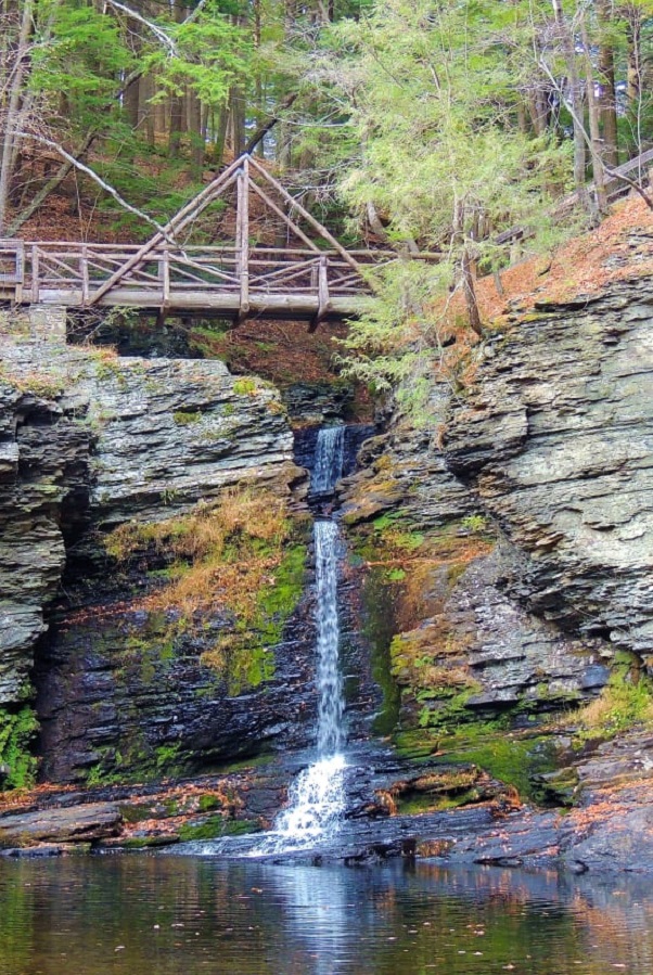 The Chamber of the Northern Poconos  - Display Image