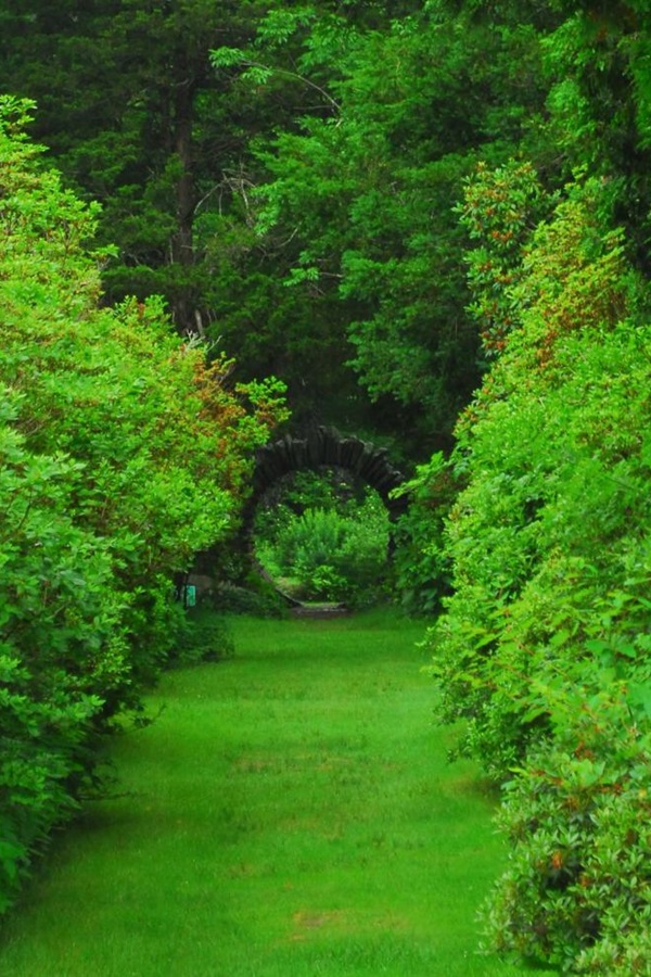 Kinney Azalea Gardens - Display Image