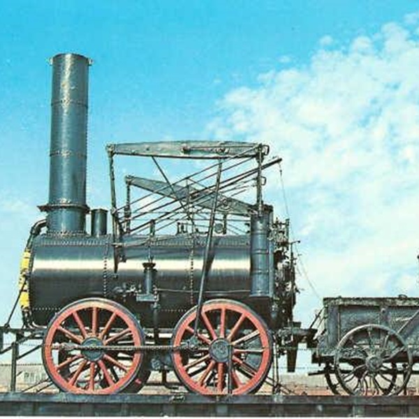 Although the test was successful, the locomotive's weight proved too much for the wooden track and the Stourbridge Lion saw few runs.