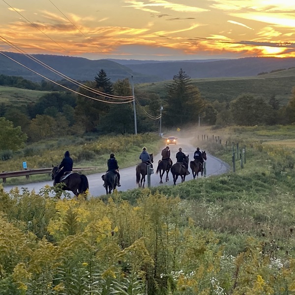 An expansive trail system provides riders with opportunities to explore the scenic beauty of the region while enjoying their favorite recreational activity.