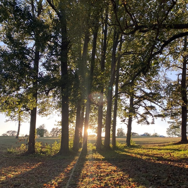 Just outside of Dickson is the state park named for Montgomery Bell, an important figure in the local iron industry. 