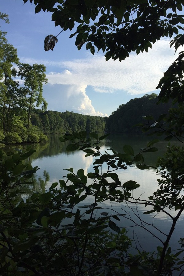 Dickson County Chamber & Tourism - Display Image