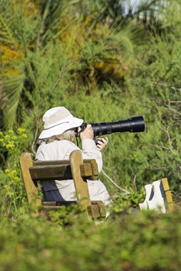 Surfside Beach Bird and Butterfly Trail    - Display Image