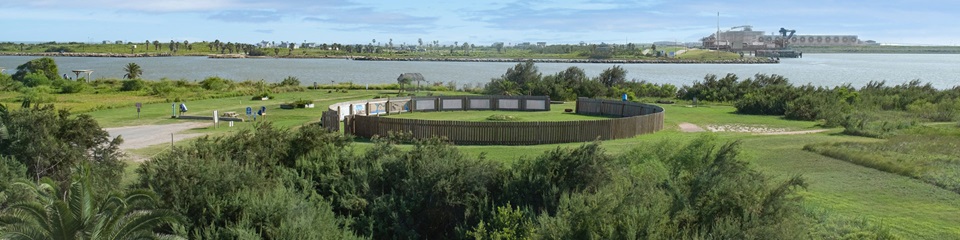 Surfside Beach Bird and Butterfly Trail    - Header Image