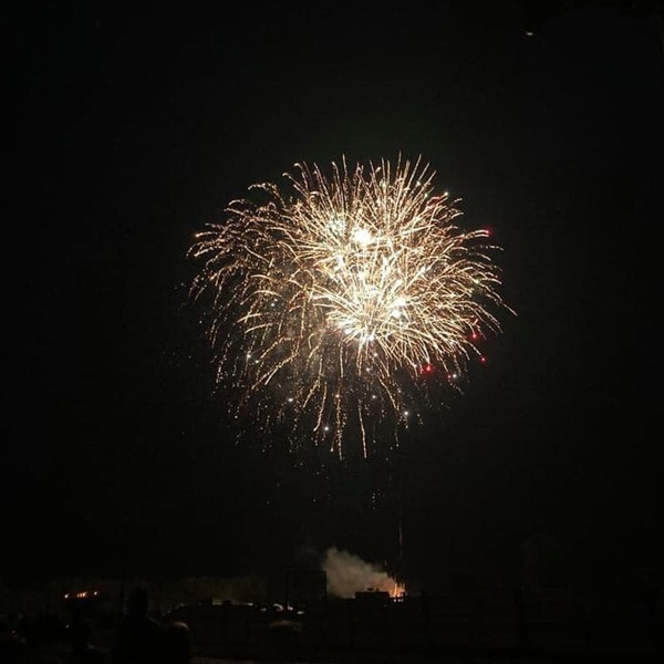 The fair typically hosts live music concerts, performances, and entertainment throughout its duration.
