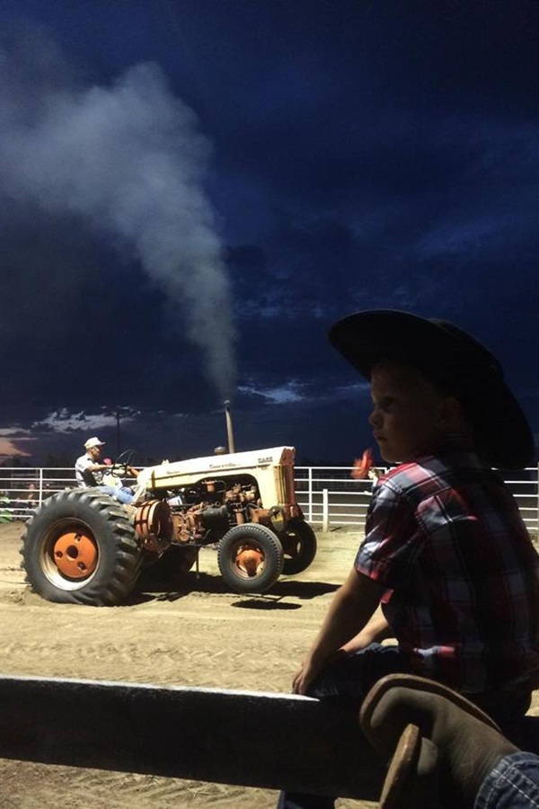 Butte/Lawrence County Fair - Display Image