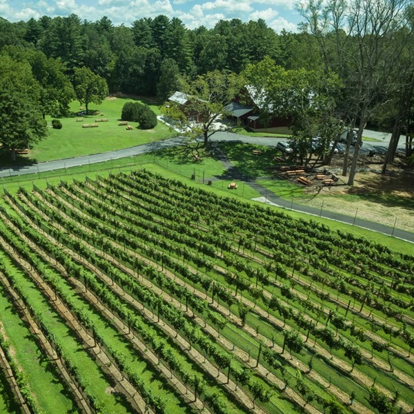 Just a stone's throw from Clifton lies Fairfax County's first winery, Paradise Springs Winery, nestled on a property with an 1800s cabin. 