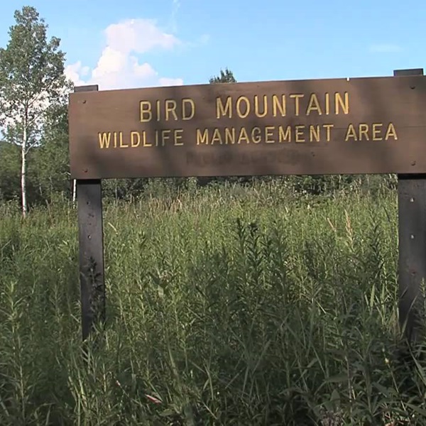 Suggested image for Bird's Eye Wildlife Management Area  