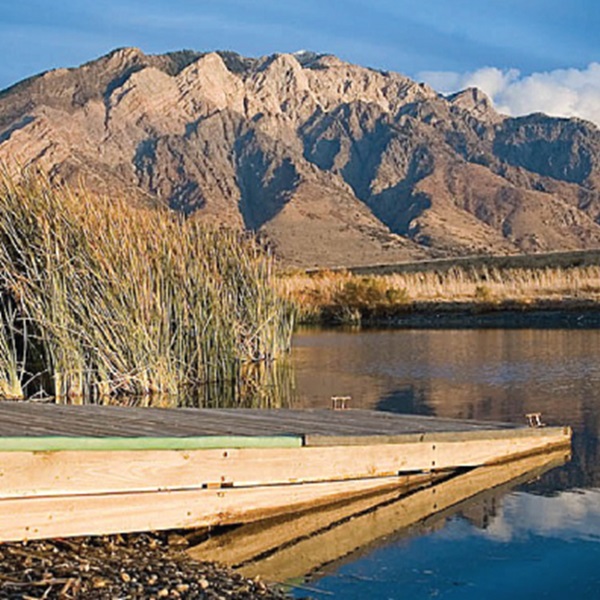Spanning over 80,000 acres, the Bear River Migratory Bird Refuge, located just outside of Tremonton, is a haven for wildlife enthusiasts. 