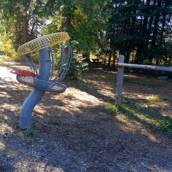 The course features a mix of short, technical holes that require precision and finesse, as well as longer, more open holes that allow players to unleash their drives. 