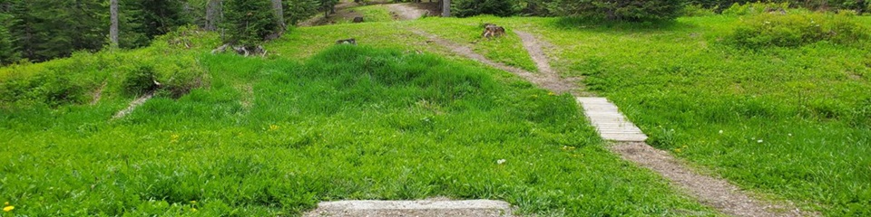 Baldfoot Disc Golf Course  - Header Image