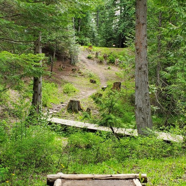 Baldfoot Disc Golf Course  - Webpage Image