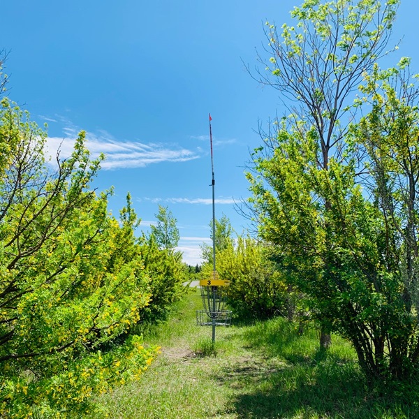 Ruger Park Disc Golf Course   - Webpage Image