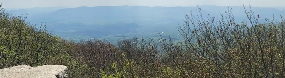 Dirty Dancing-Mountain Lake Lodge  - Header Image