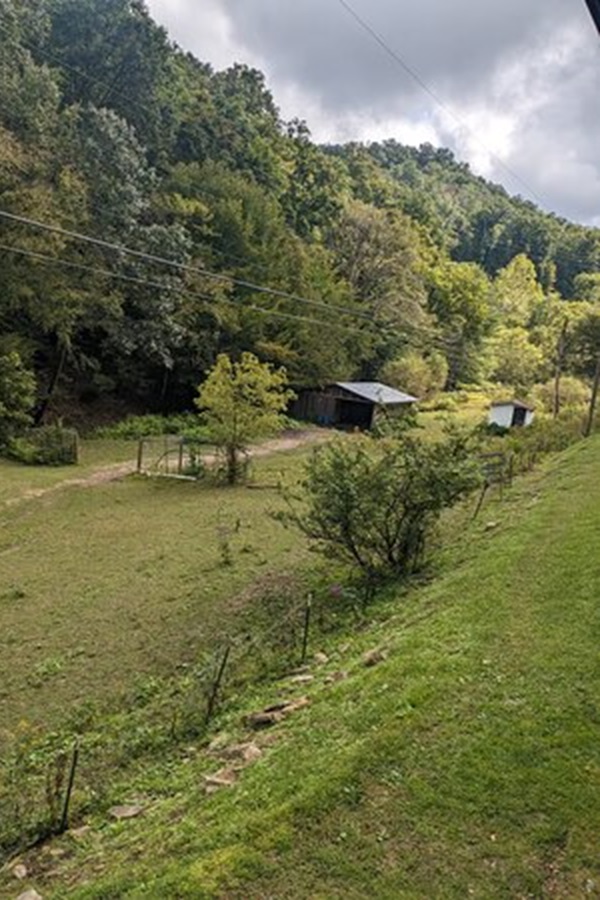 Coal Miner’s Daughter-Loretta Lynn’s Homeplace  - Display Image