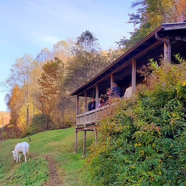 Coal Miner’s Daughter-Loretta Lynn’s Homeplace  - Webpage Image