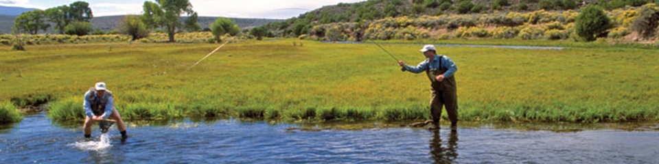 The Rio Grande River  - Header Image