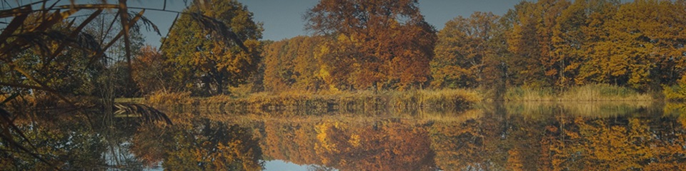 Altamont/Idle Hour Lakes   - Header Image