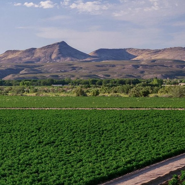 Visitors can explore local wineries and tasting rooms, where they can sample various wines made from grapes grown in the region's unique terroir. 