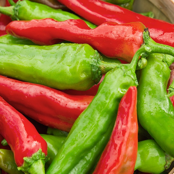 Suggested image for Hatch Chile Festival