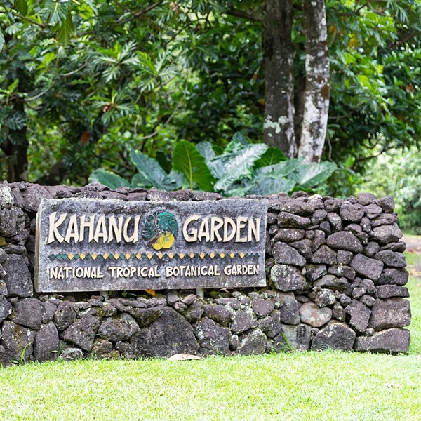 Travelers can explore hidden beaches, swim in secluded waterfalls, and hike along lesser-known trails to discover the hidden beauty of Hana's landscapes. 