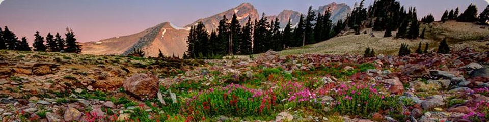 La Pine Chamber of Commerce - Header Image
