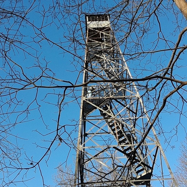 The Ferncliff Forest Fire Tower was built during World War II to provide early warning of attacks, especially on President Roosevelt's home. 