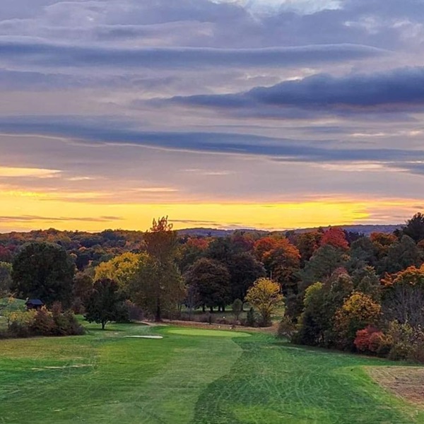 Dinsmore Golf Course    - Webpage Image